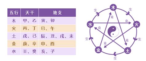 出生日期 八字|生辰八字五行查询